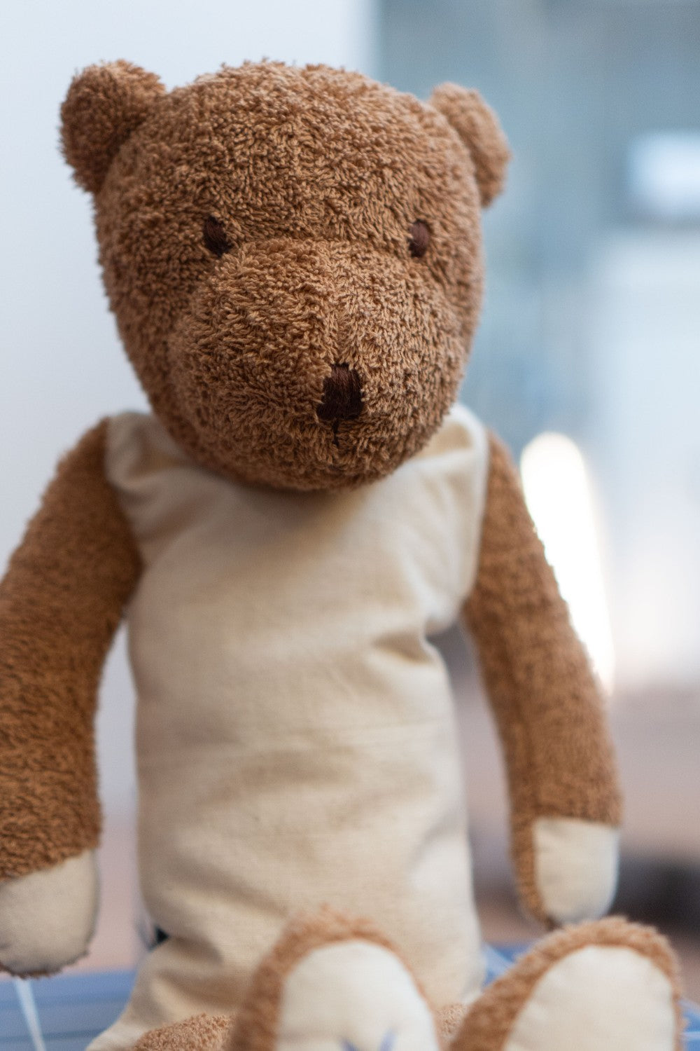 Heatable and Coolable Cuddly Brown Bear