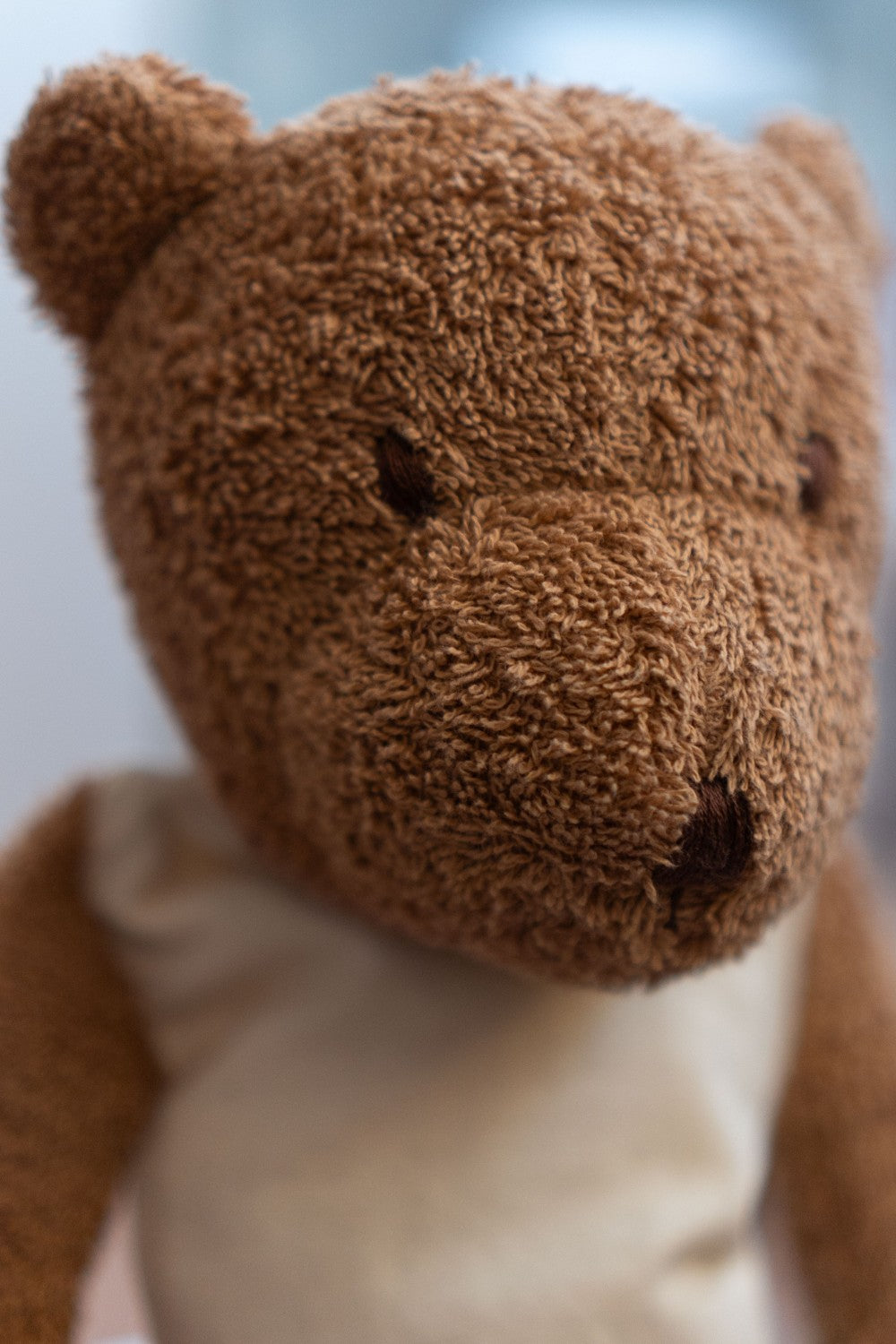 Heatable and Coolable Cuddly Brown Bear