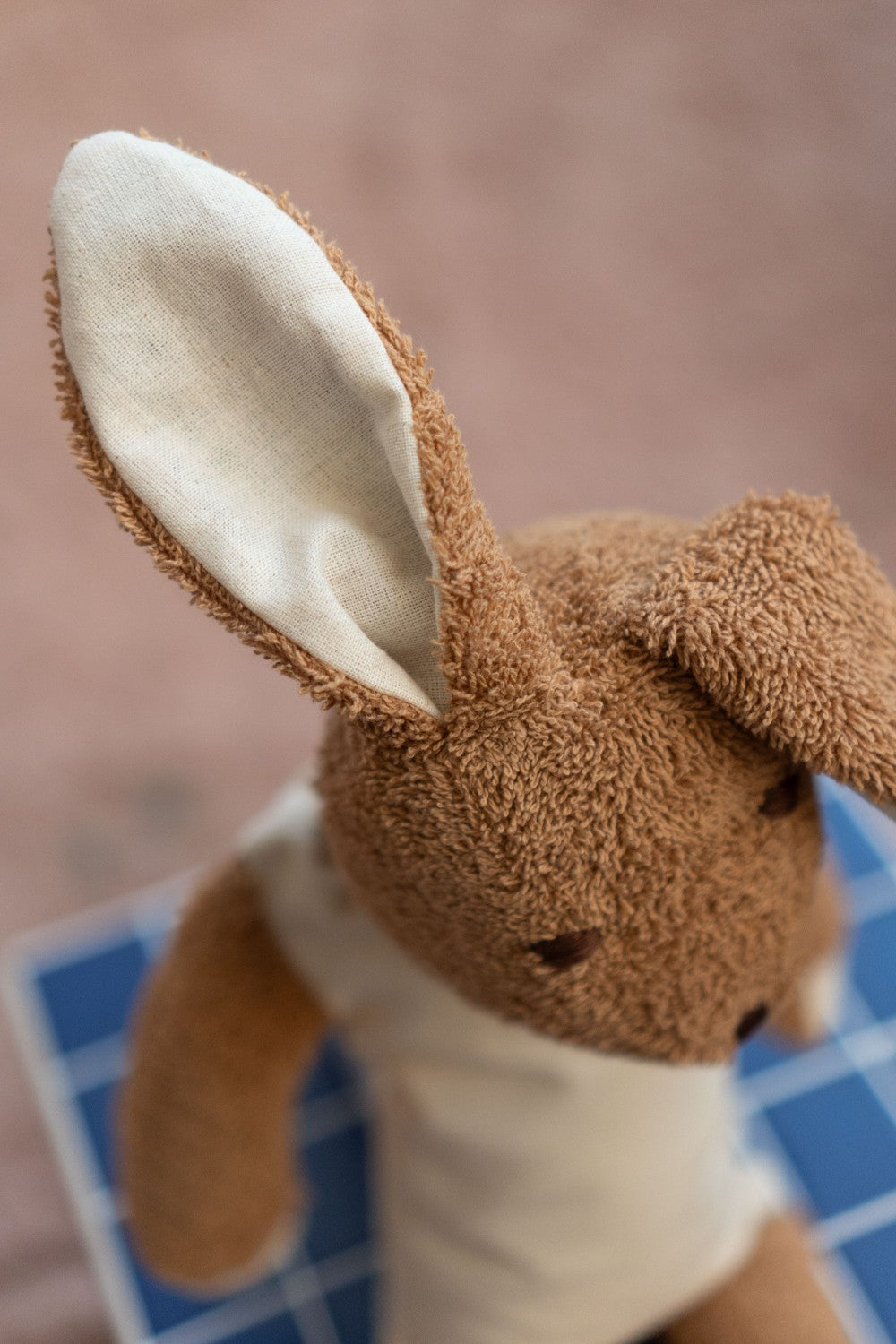 Cuddly brown bunny