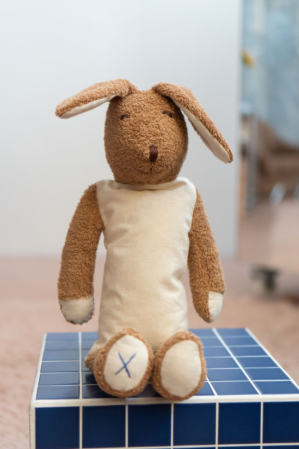 Cuddly brown bunny