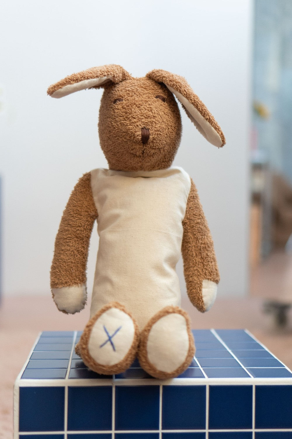 Cuddly brown bunny