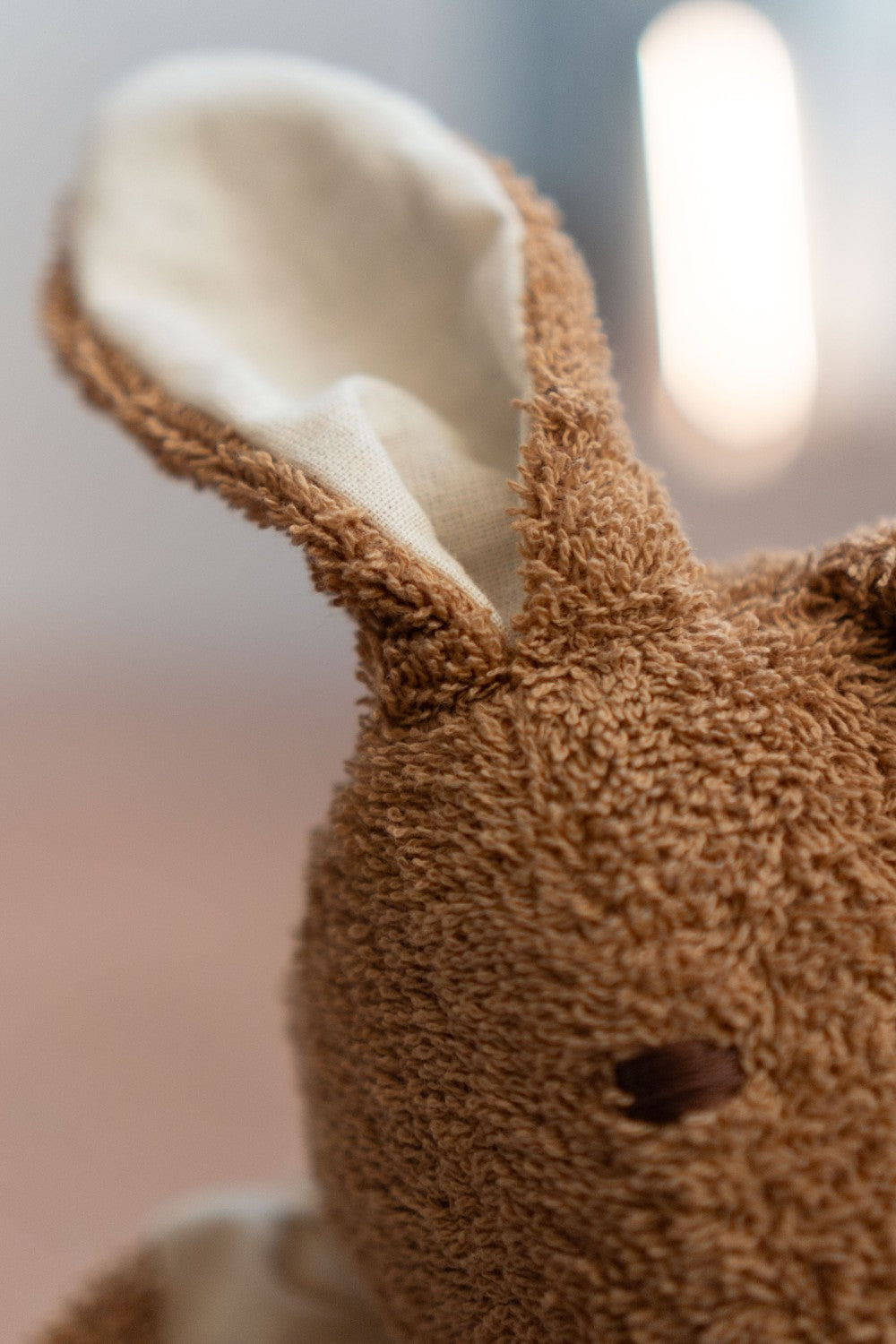 Cuddly brown bunny
