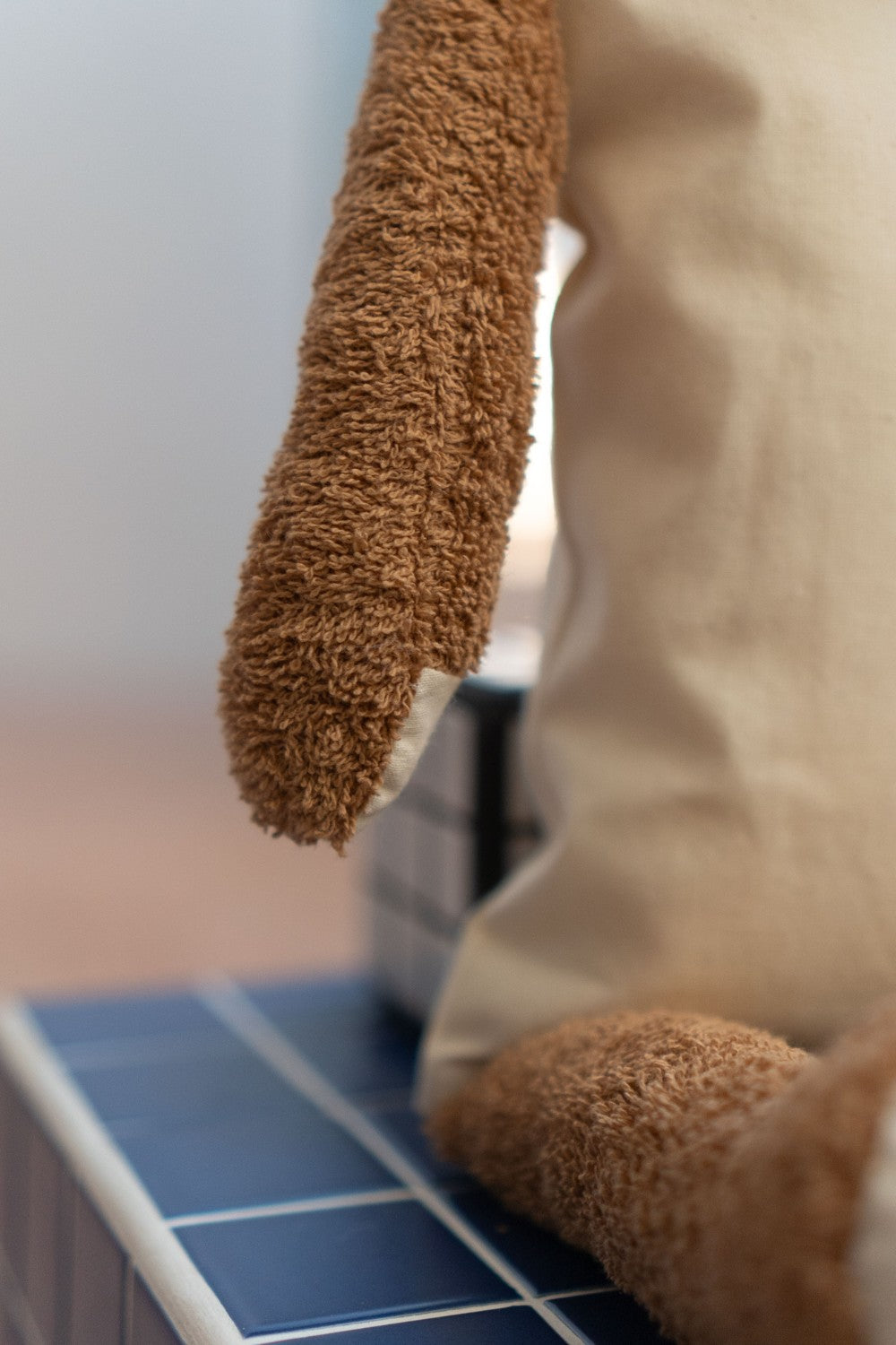 Cuddly brown cat